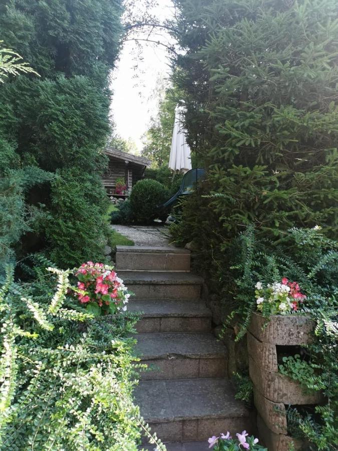 Ferienwohnung Haus am Bach Kirchberg in Tirol Exterior foto