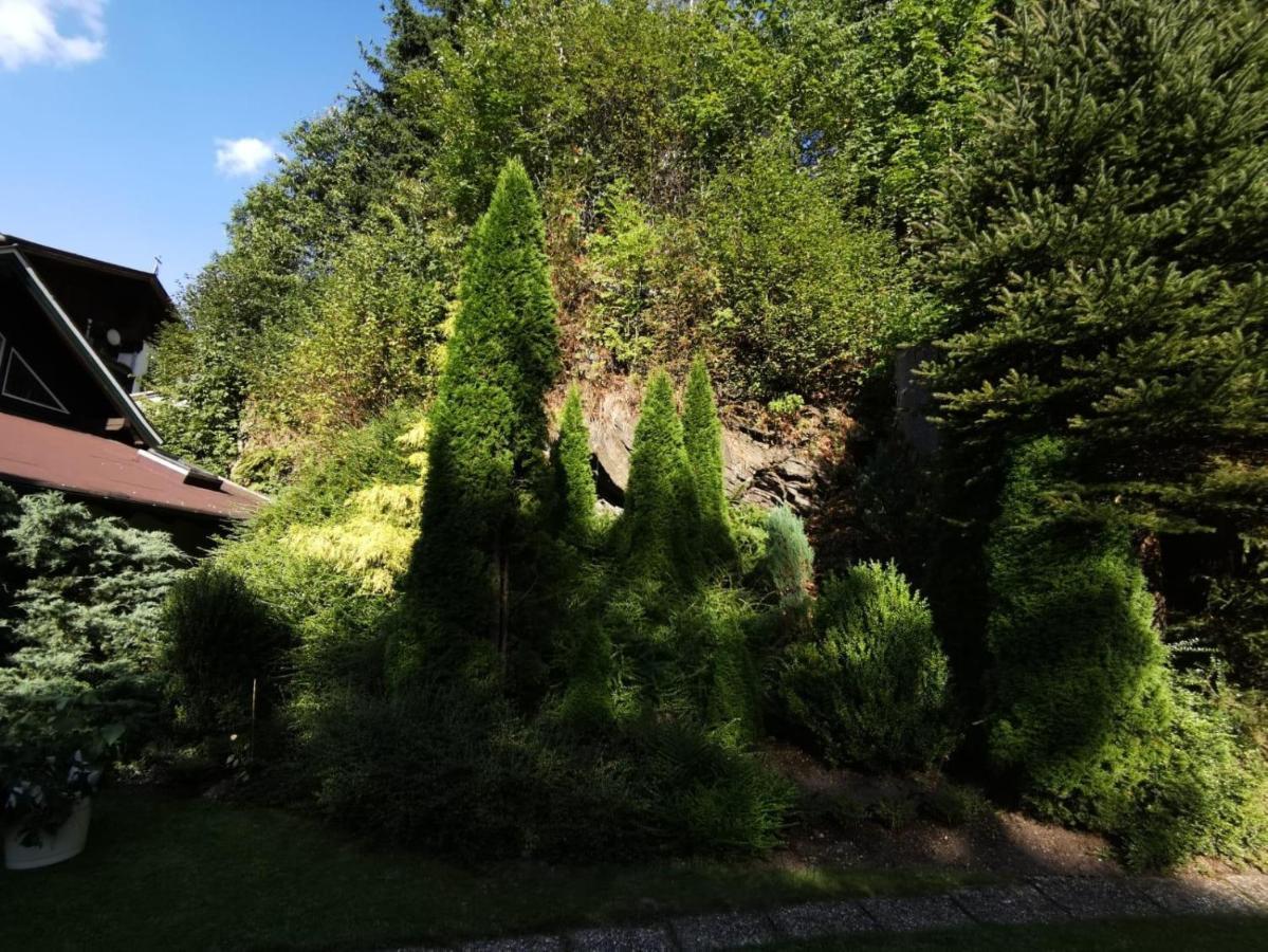 Ferienwohnung Haus am Bach Kirchberg in Tirol Exterior foto